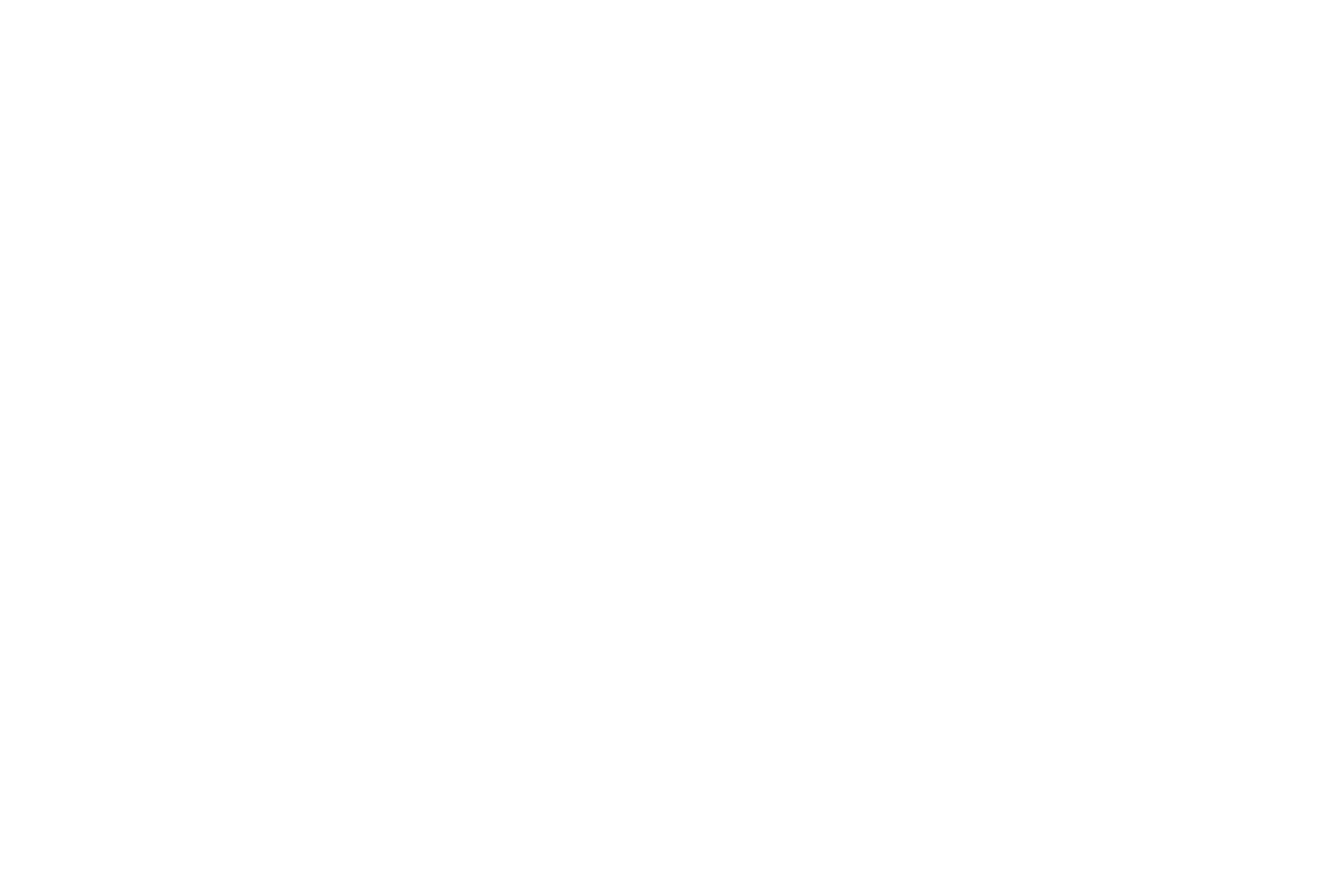 Warrior Group of Alabama - Logo